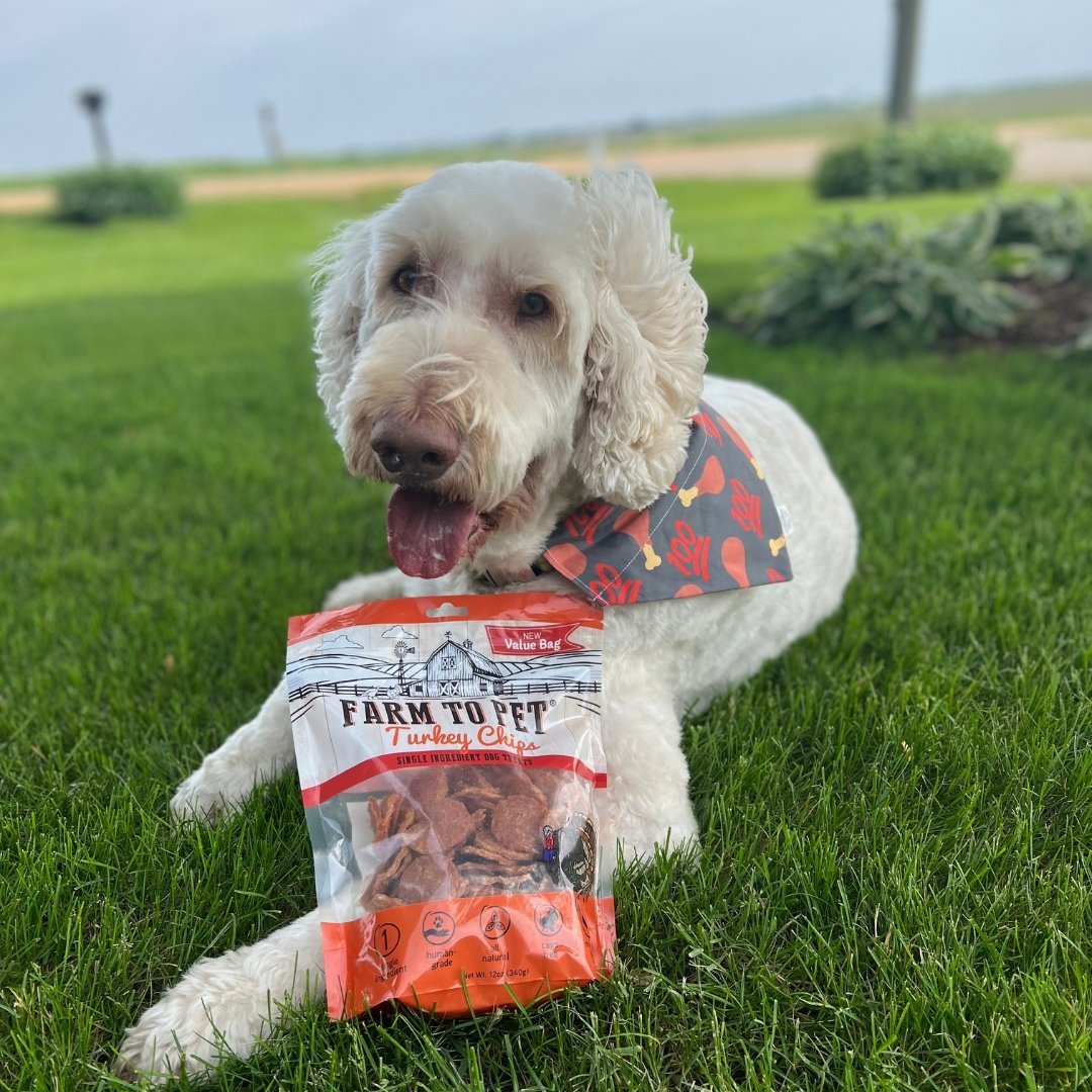 A Day in the Life of a Farm Dog - Farmto-pettreats