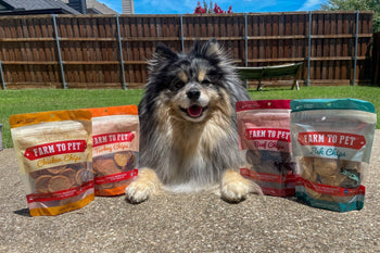 Fluffy dog sitting with four different protein treat bags from Farmto-pettreats