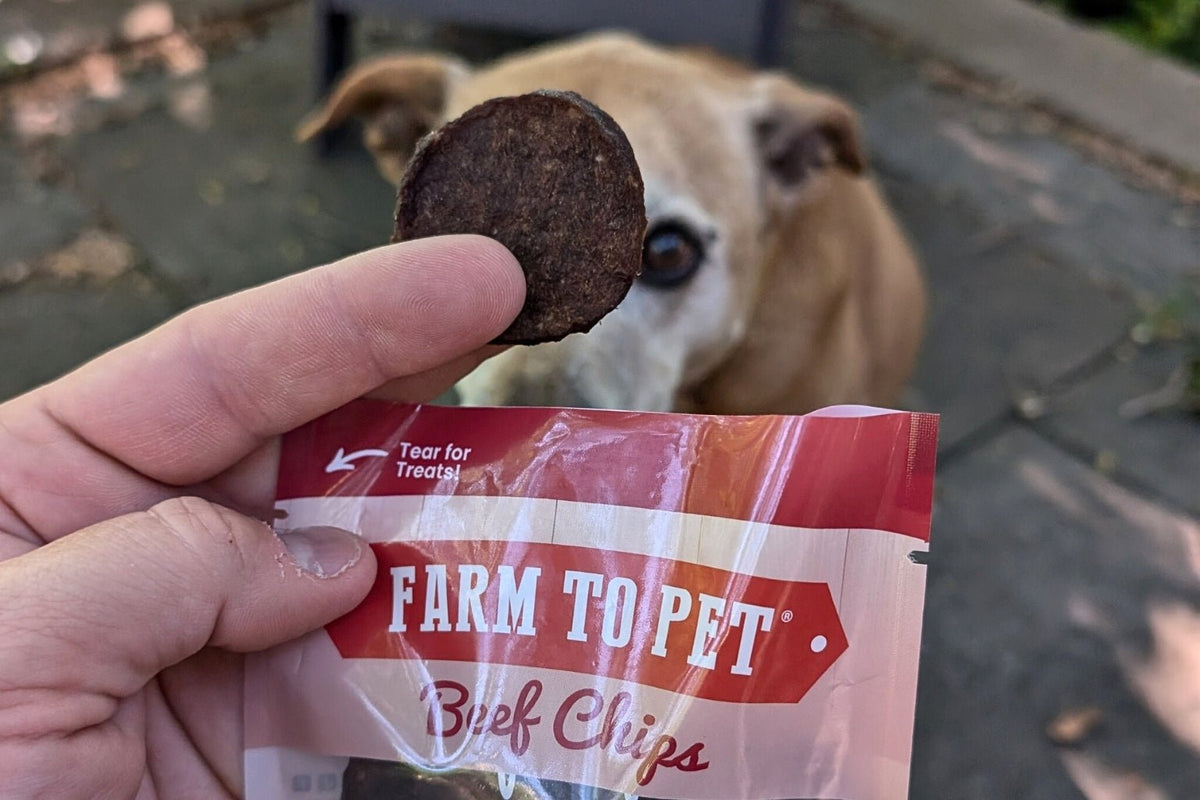 Hand holding a bag of Farmto-pettreats Beef Chip bag and offering a brown and white dog a beef chip.