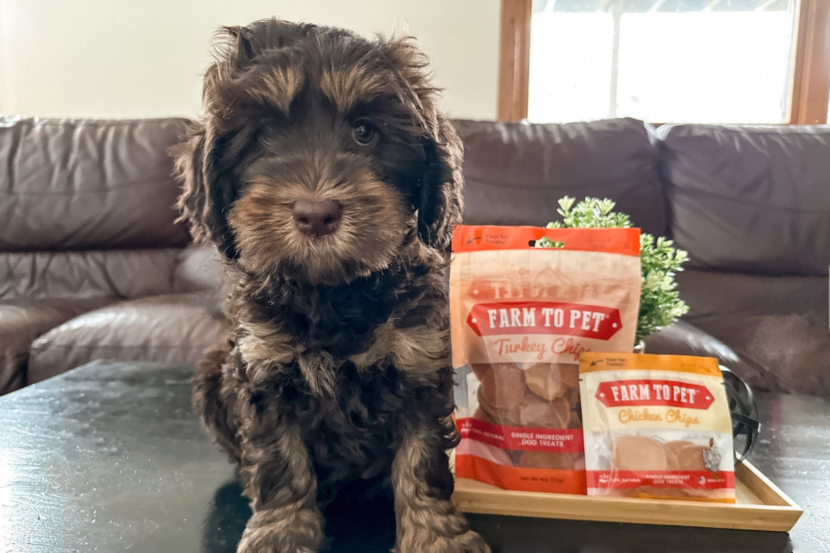 The Best Proteins for  Dogs - Farmto-pettreats