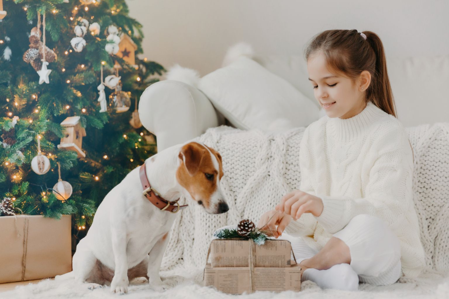 The Best Holiday Dog Gifts for 2023 - Farmto-pettreats