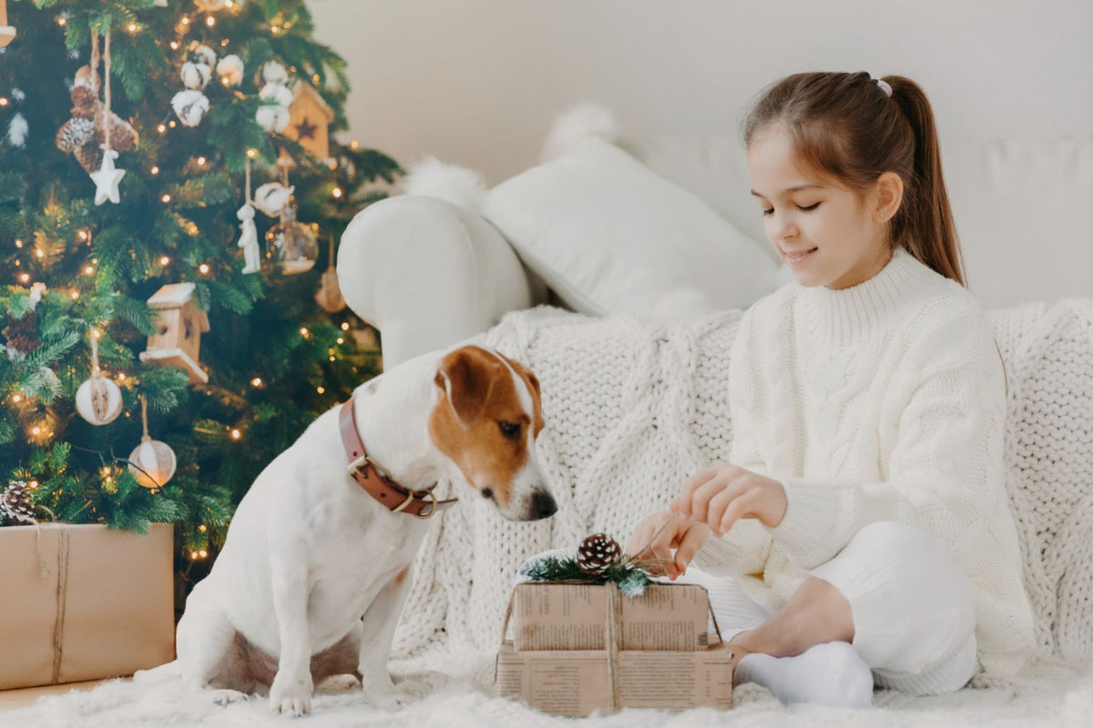 The Best Holiday Dog Gifts for 2023 - Farmto-pettreats