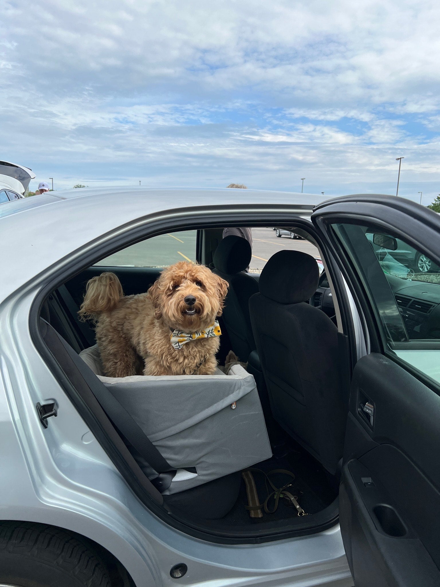 Brooks' Holiday Travel Favorites - Farmto-pettreats