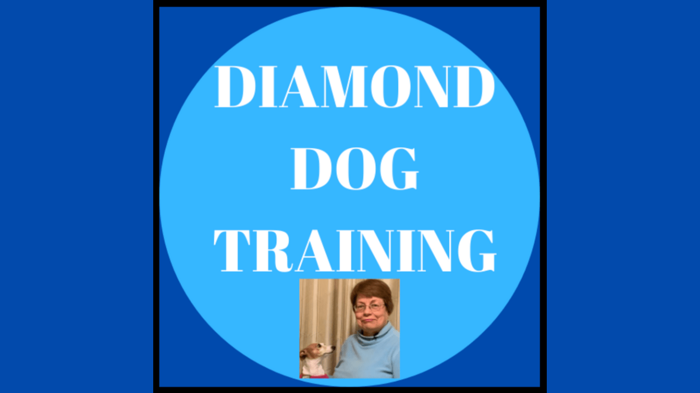 BTS with Diamond Dog Training - Farmto-pettreats