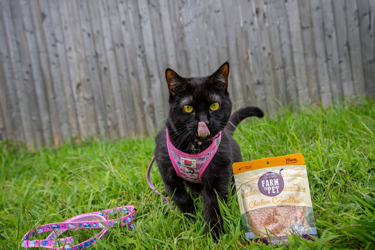 A white and grey cat sniffing a bag of Farmto-pettreats Crumbles cat treats.