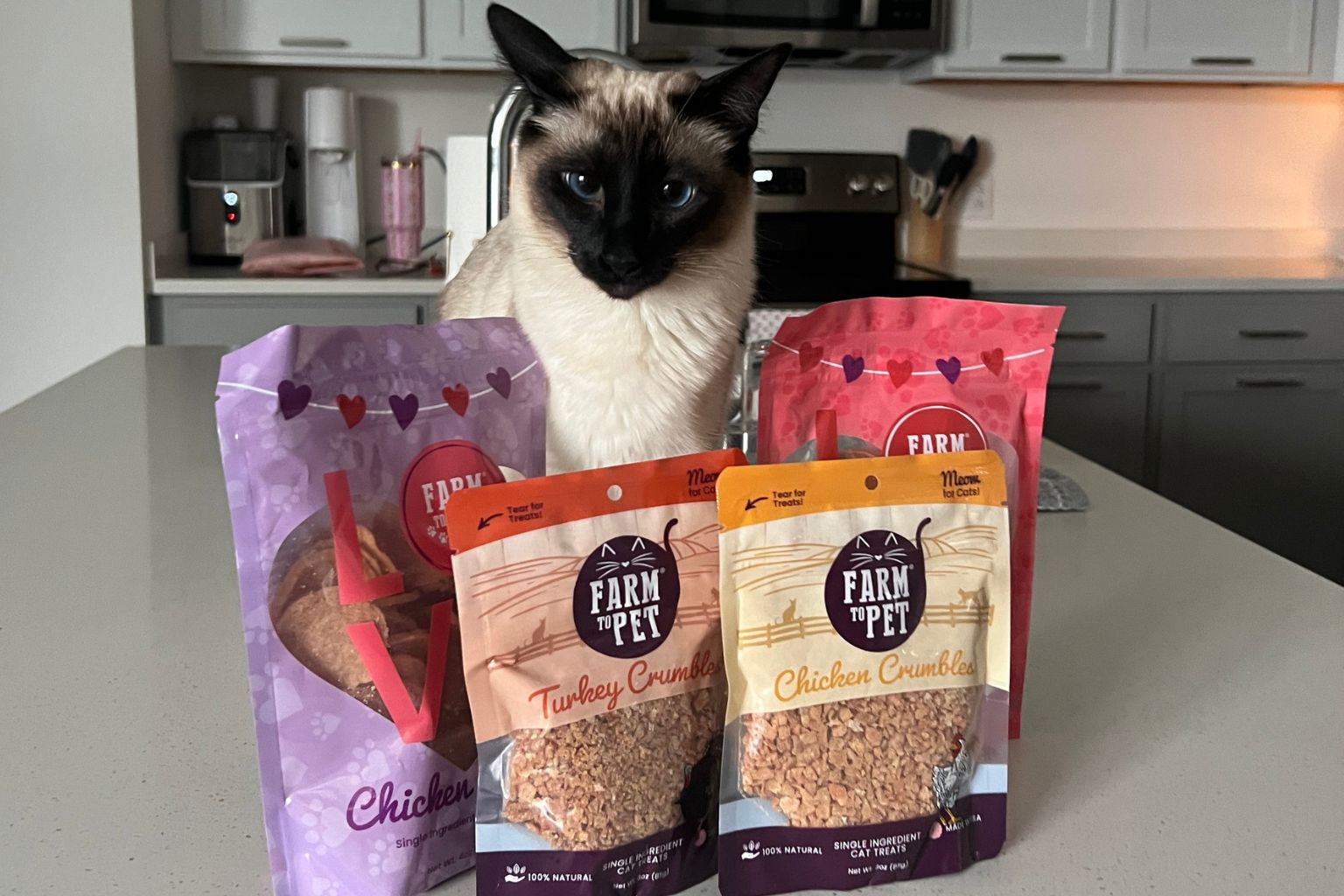 a siamese cat surrounded by Farmto-pettreats healthy cat treat bags 