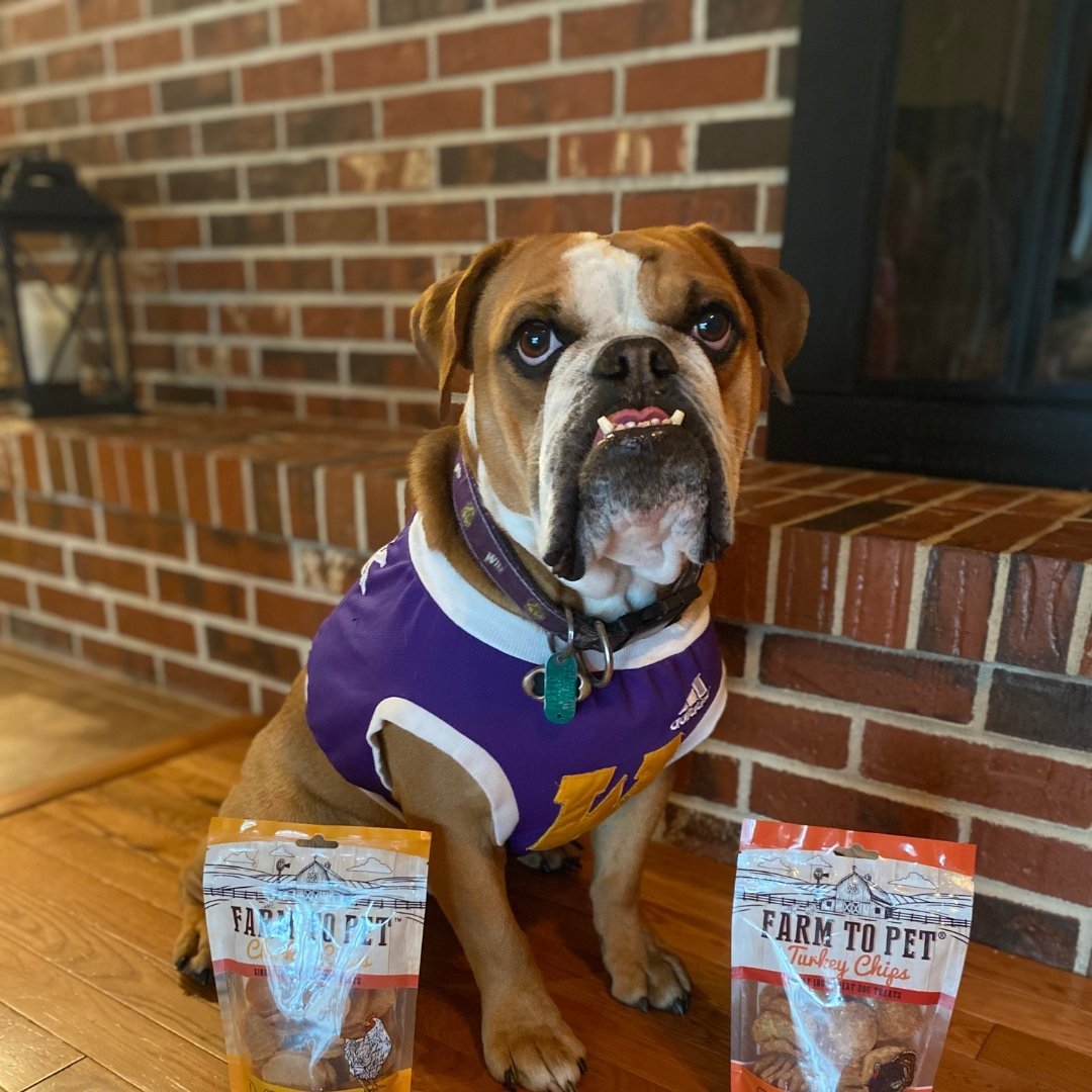 College Athletics' Biggest Stars  - Farmto-pettreats