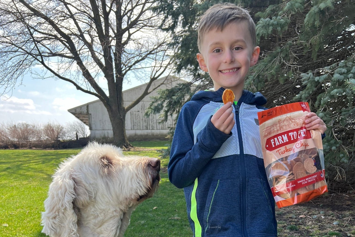 Dog Training 101: How Healthy Pet Treats Make Training Easier - Farmto-pettreats