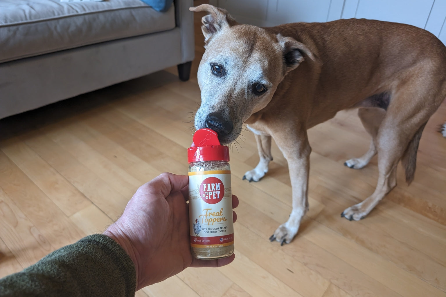 Rooney, the rescue dog, eating Farmto-pettreats Treat Toppers out of the jar. 
