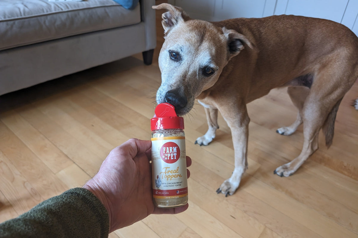 Rooney, the rescue dog, eating Farmto-pettreats Treat Toppers out of the jar. 