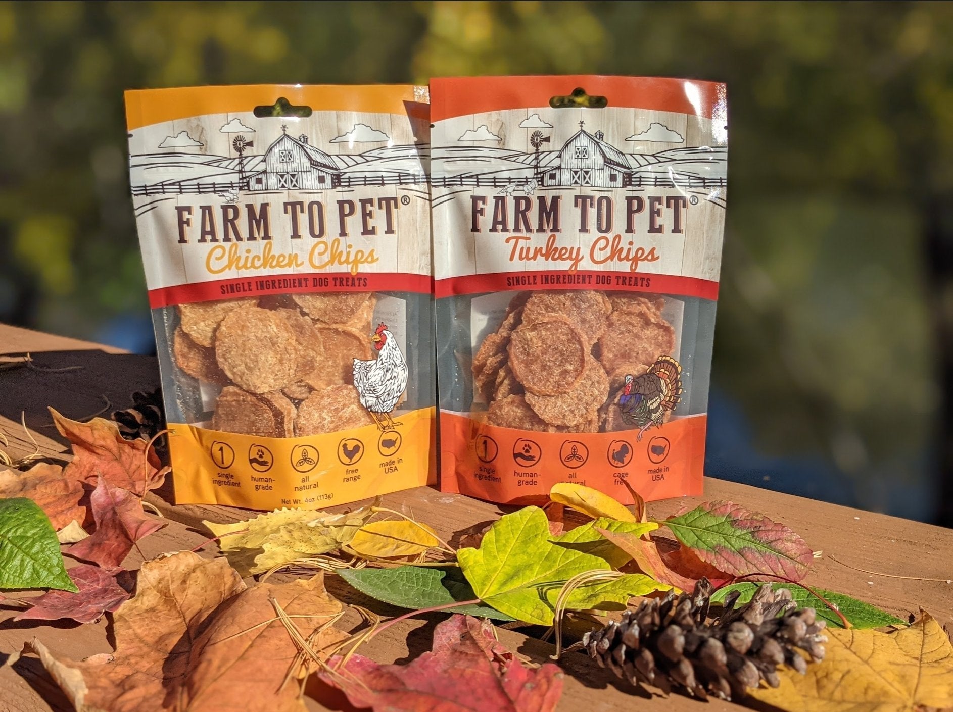 Fall Activities for You and Your Dog - Farmto-pettreats