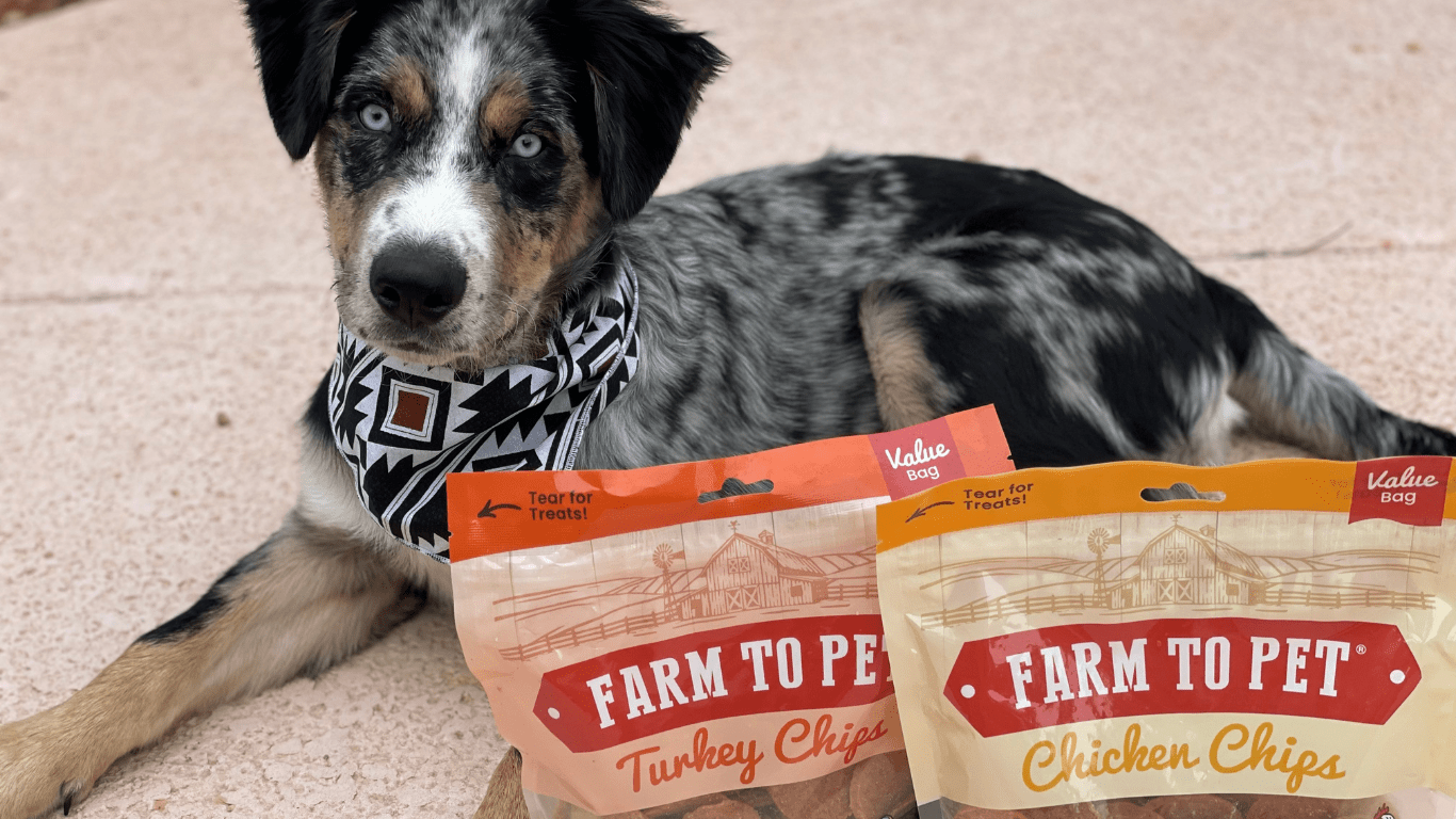 Fall Foods for Dogs! - Farmto-pettreats