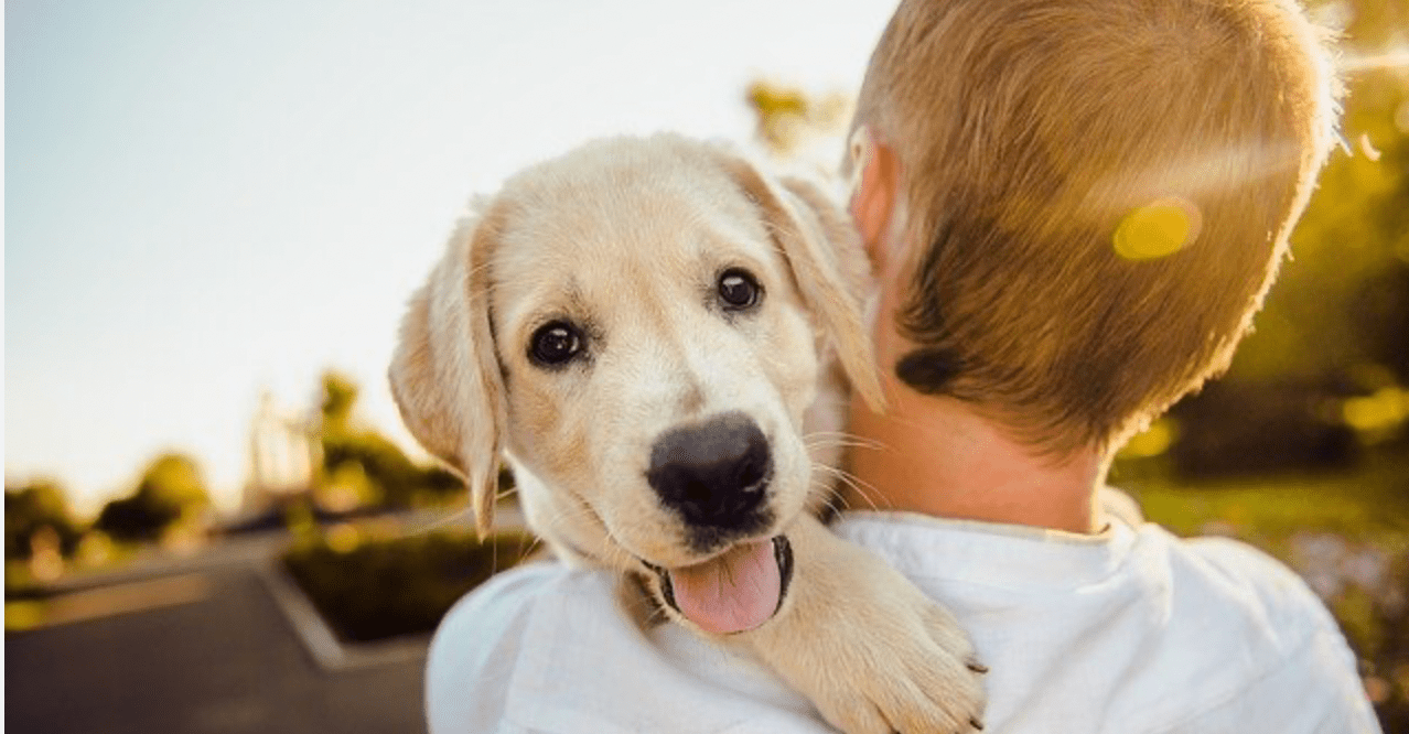 Famous Athletes and their Dogs - Farmto-pettreats
