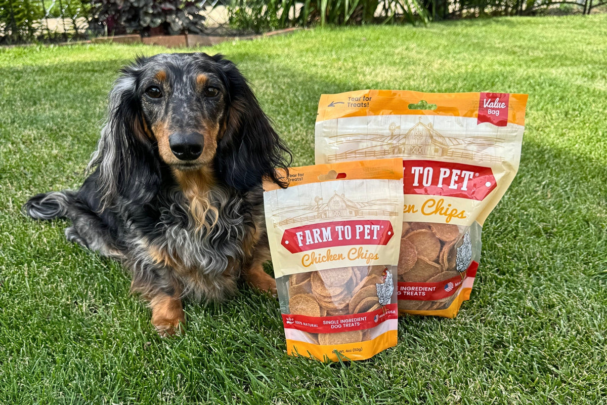 How To Get Your Dog To Stop Barking - Farmto-pettreats