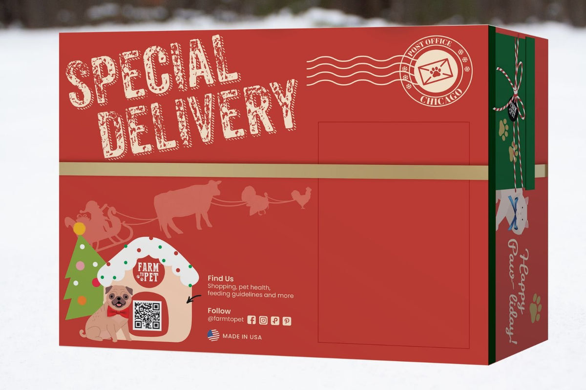 Farmto-pettreats holiday pet gift box printed with the words special delivery 