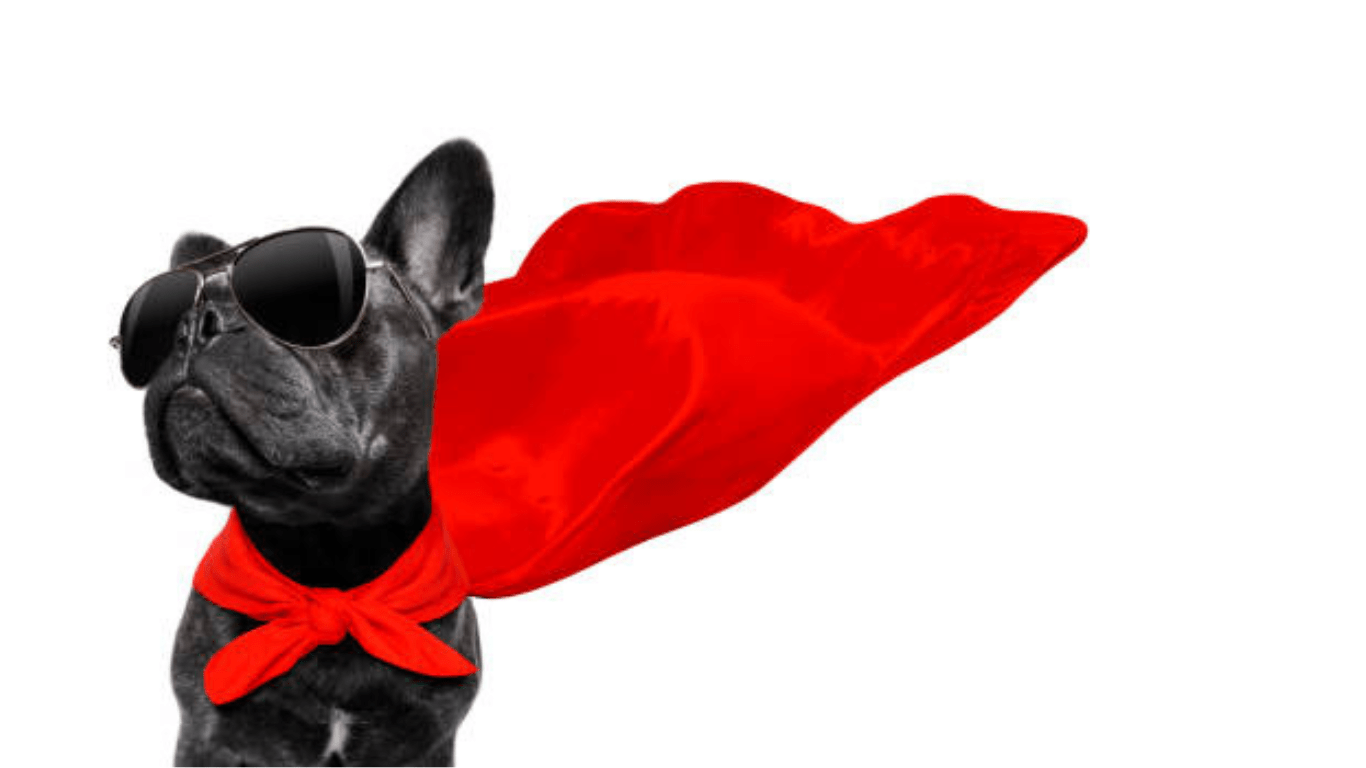 For the Luck of the Pup - Farmto-pettreats
