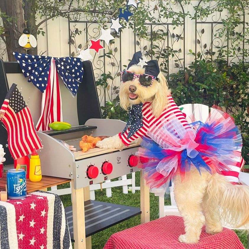 FURiendly 4th Festivities - Farmto-pettreats
