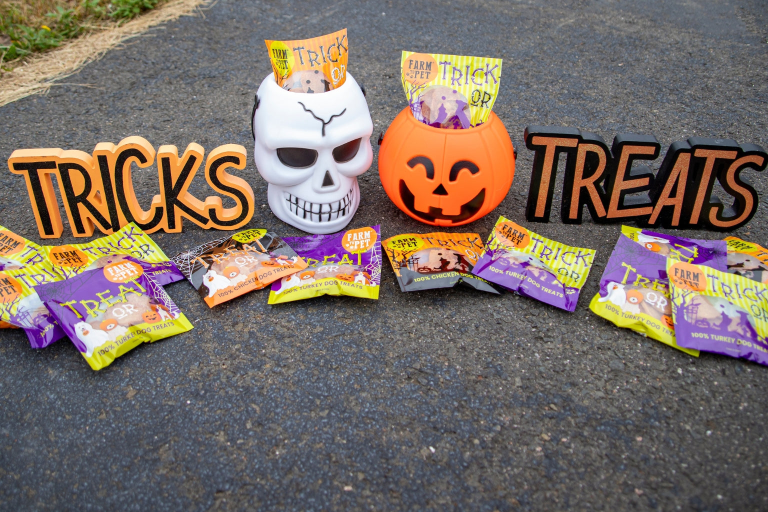 German shepherd dog sitting next to Farmto-pettreats Halloween Pet Treats