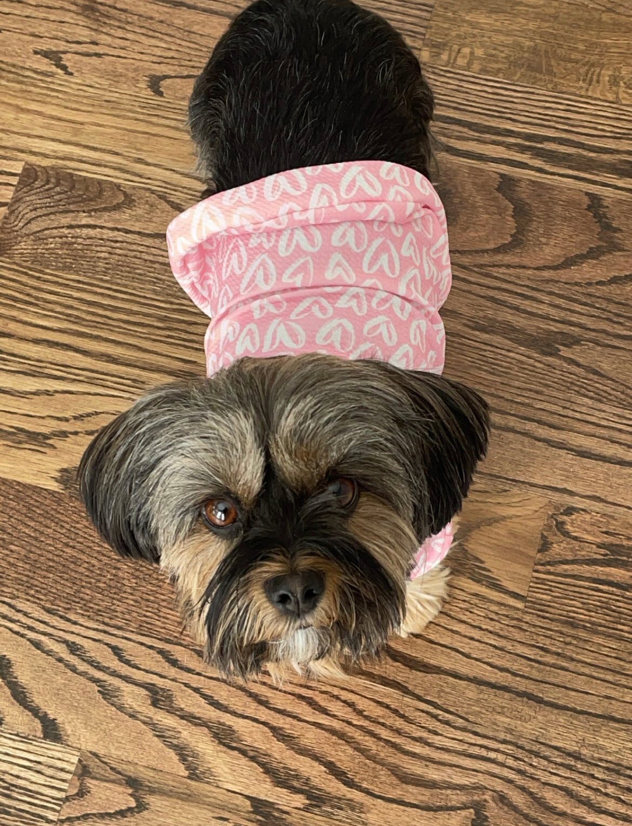 Happy Barkentine's Day! - Farmto-pettreats