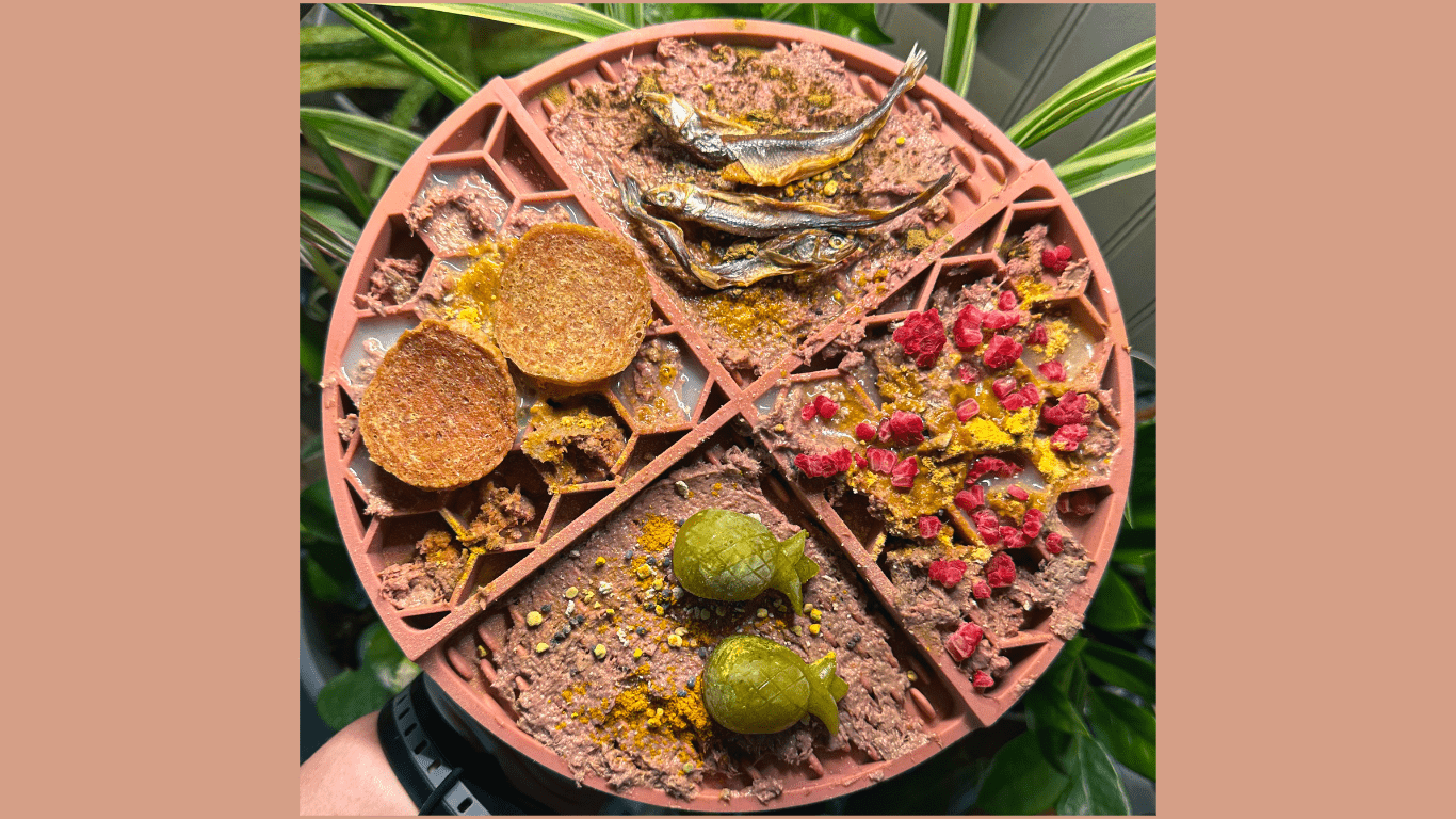 Healthy Fruits & Veggies for Your Dog! - Farmto-pettreats