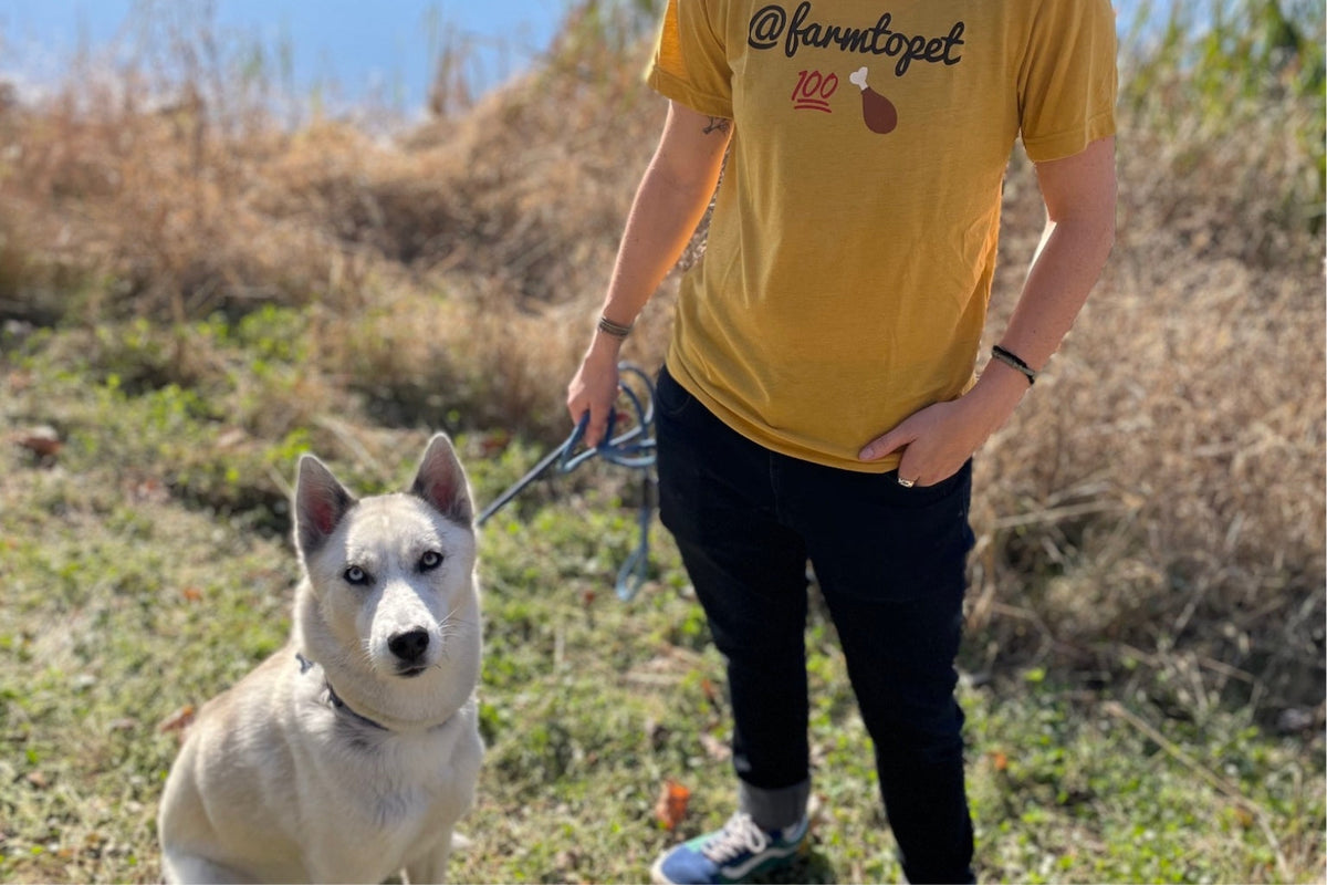 Training Puppies not to Bite with Healthy Puppy Treats and Chews - Farmto-pettreats