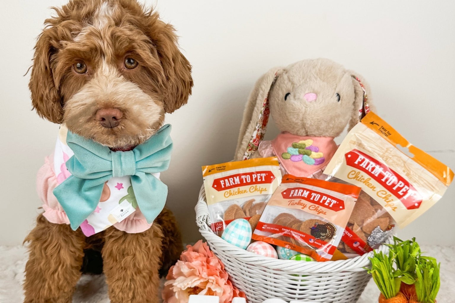 Hop To It!  Tips for a Safe and Fun Easter for Dogs - Farmto-pettreats
