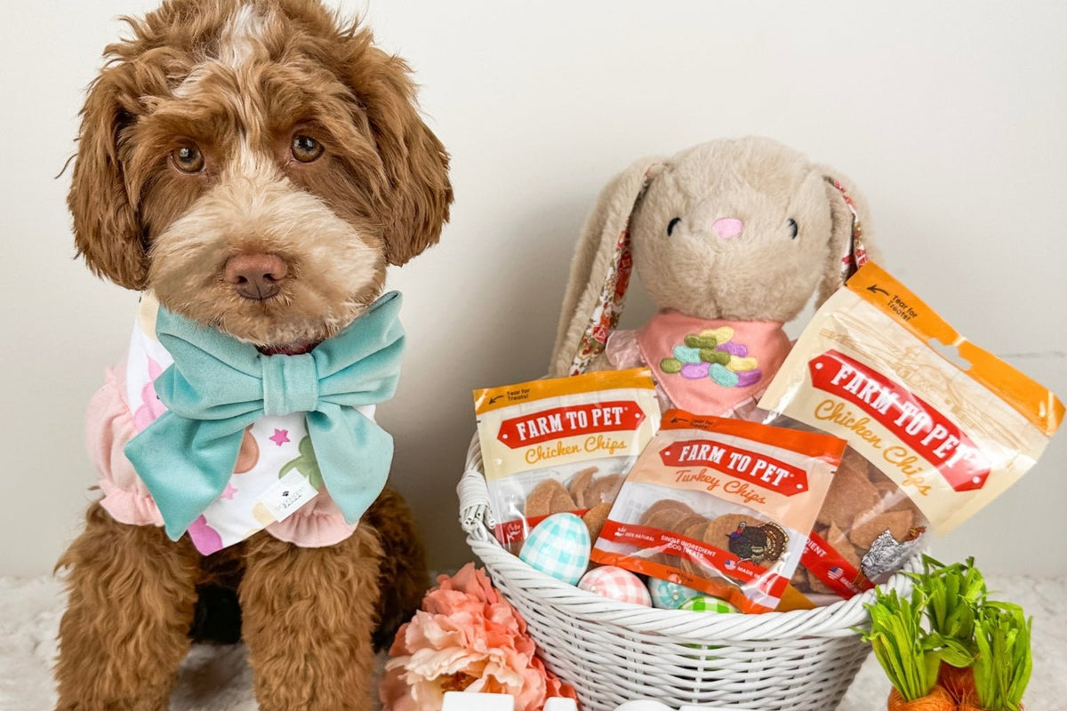 Hop To It!  Tips for a Safe and Fun Easter for Dogs - Farmto-pettreats