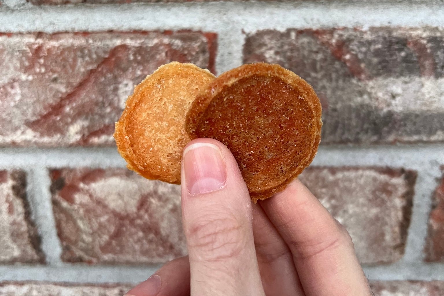 Is Protein Rotation Beneficial for Dogs? How Healthy Dog Treats Fit In - Farmto-pettreats