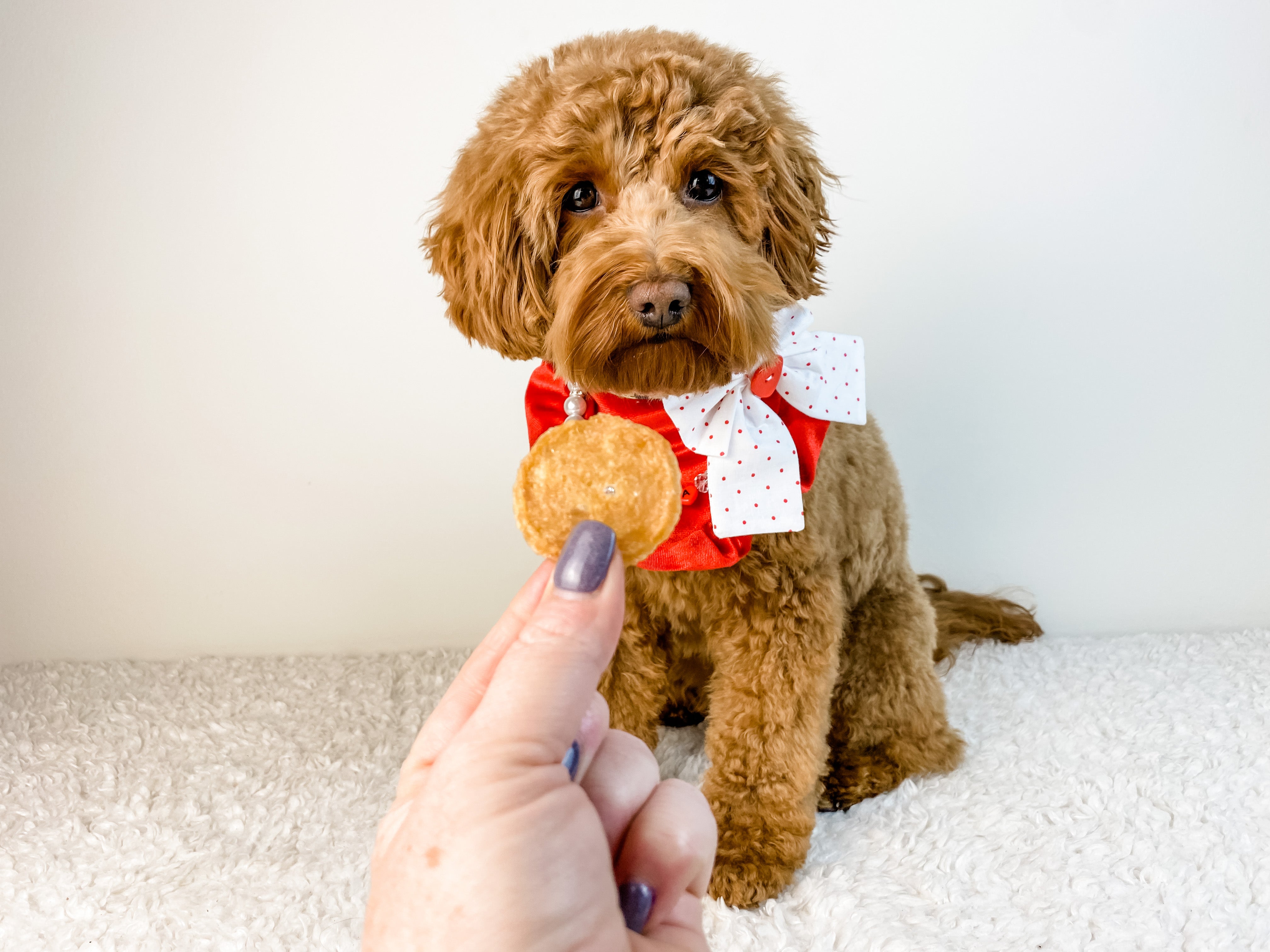 Love Stories - Farmto-pettreats