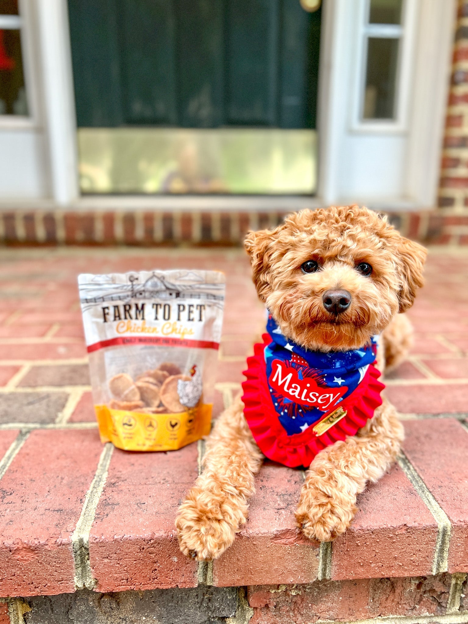 Meet Our FURiends: Maisey and Sarah - Farmto-pettreats