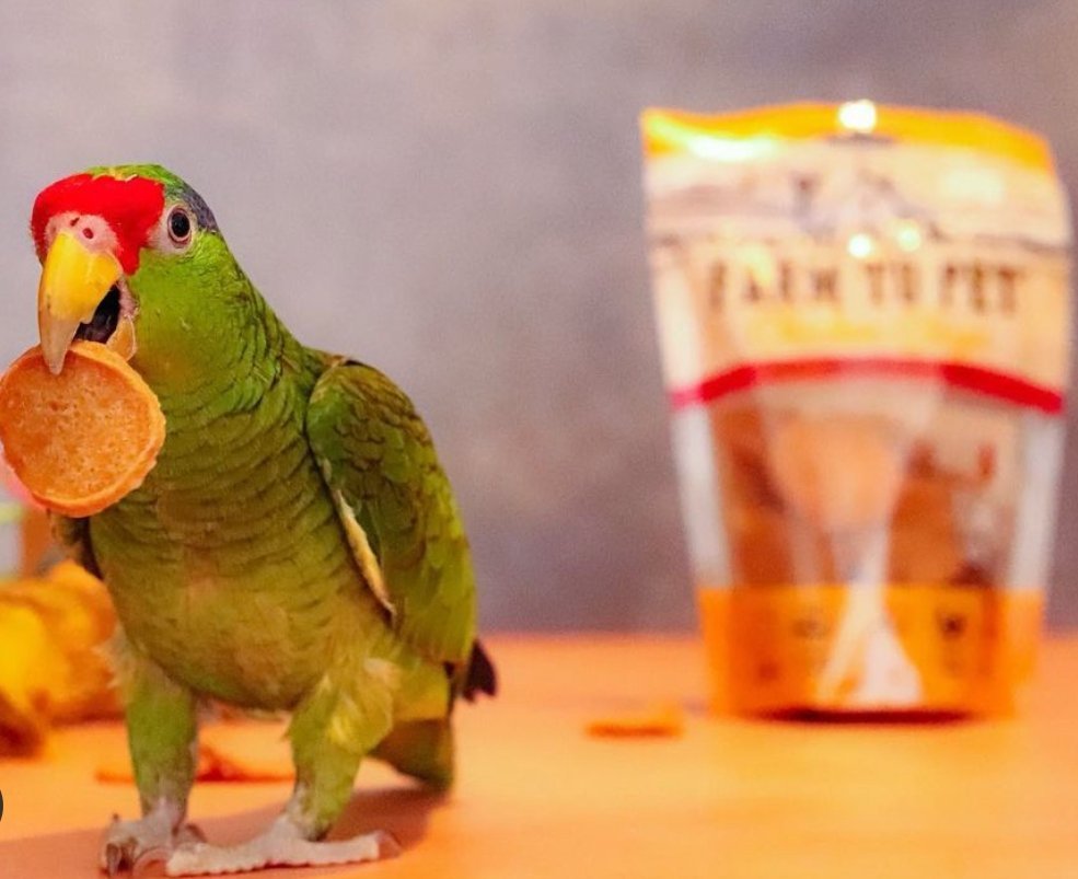 Meet Our FURiends: Reprise Coffee Roasters - Farmto-pettreats