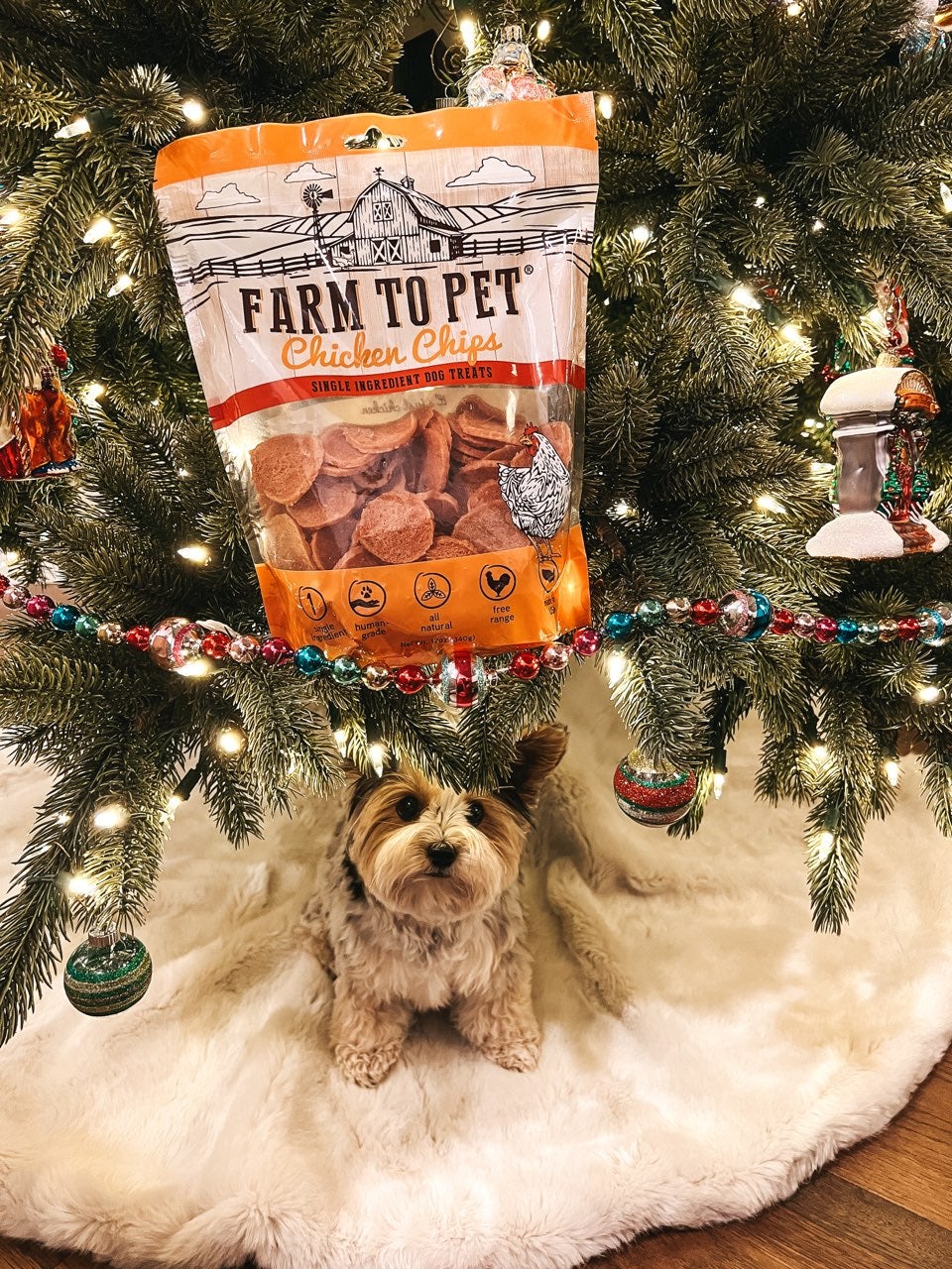 🎄 Merry CHIPmas! 🎄 - Farmto-pettreats