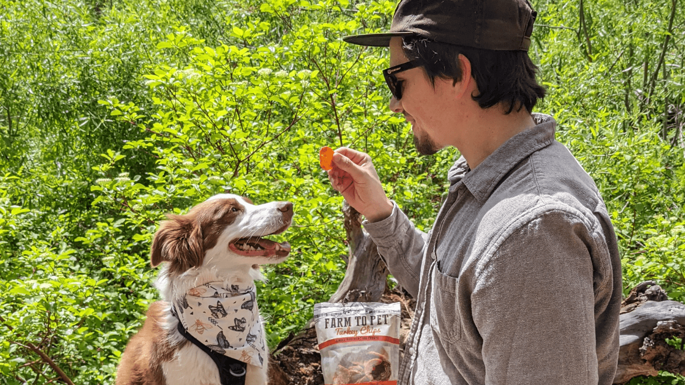 Paws in the Wild - Farmto-pettreats