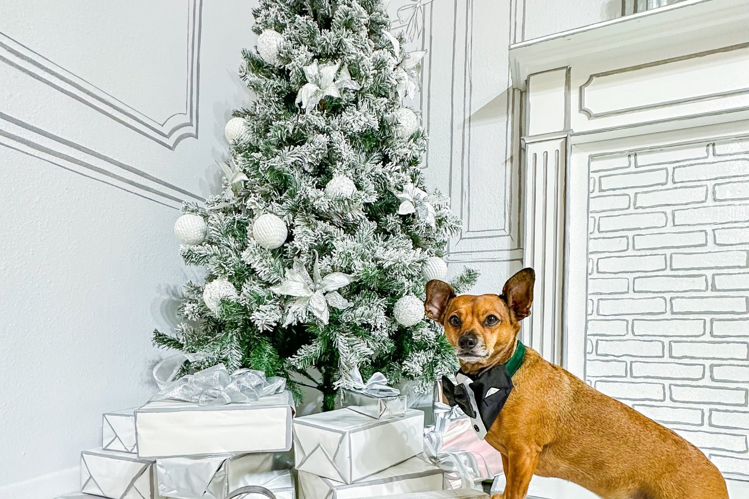 Small Business Saturday Dog Gift Ideas - Farmto-pettreats