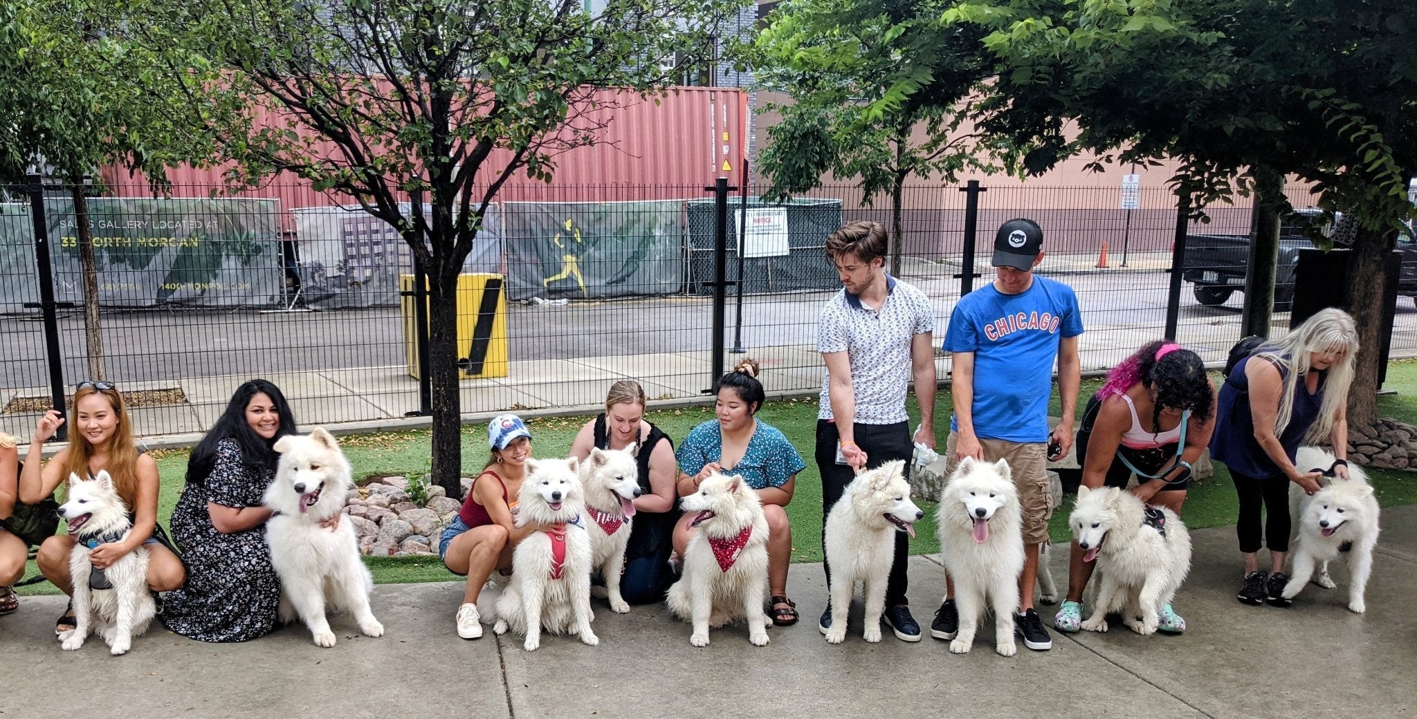 Sweet Home Chicago - Farmto-pettreats