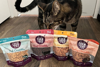 Tabby cat sniffing bags of Farmto-pettreats Crumbles cat treats.