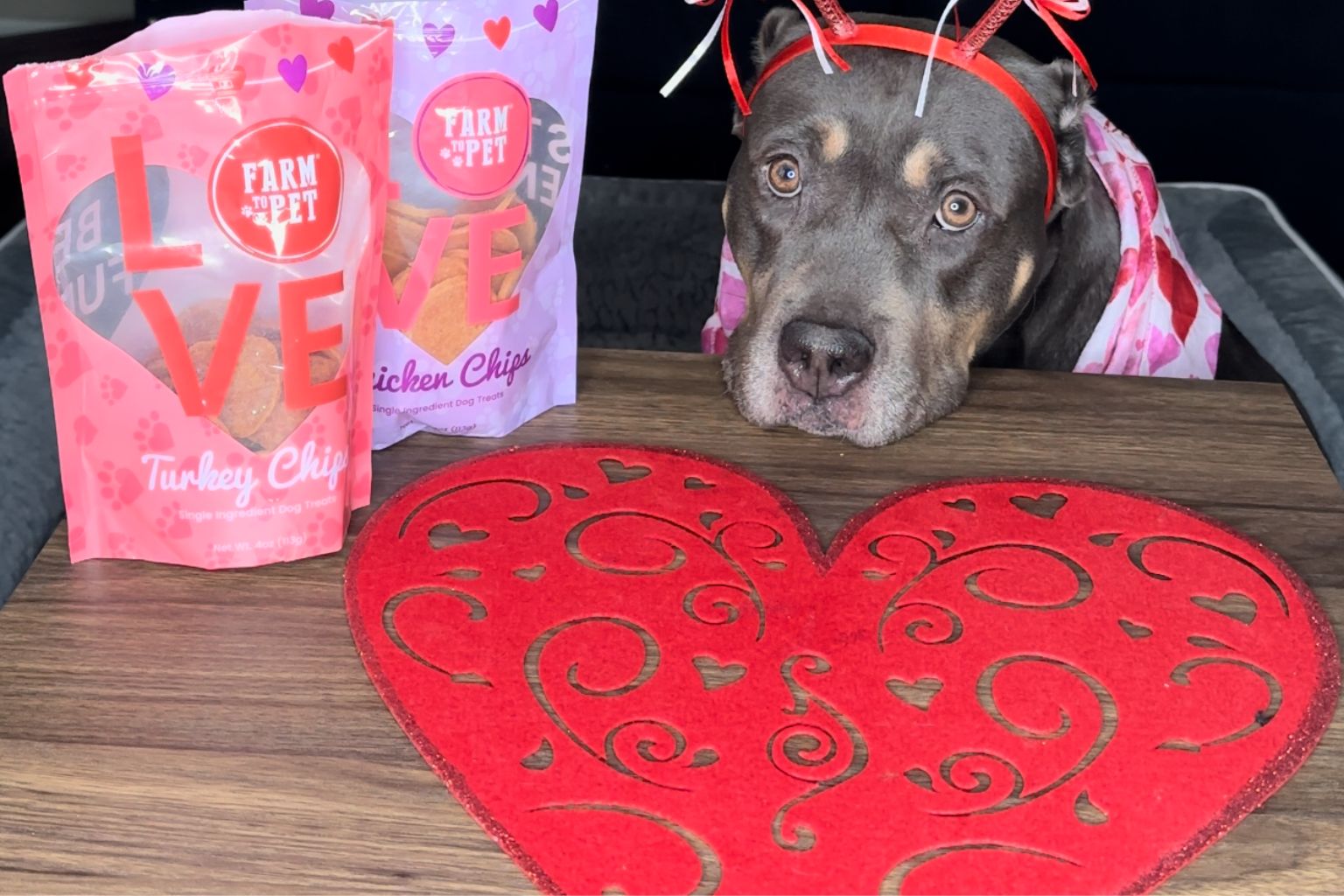 Dog wearing a heart head band next to Valentine's Day dog treats from Farmto-pettreats.