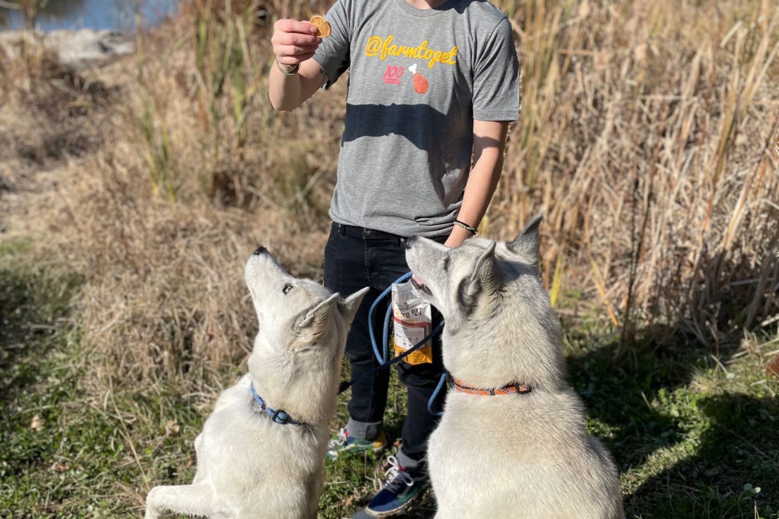 What Makes a High Quality Ingredient in Healthy Pet Treats and Foods? - Farmto-pettreats