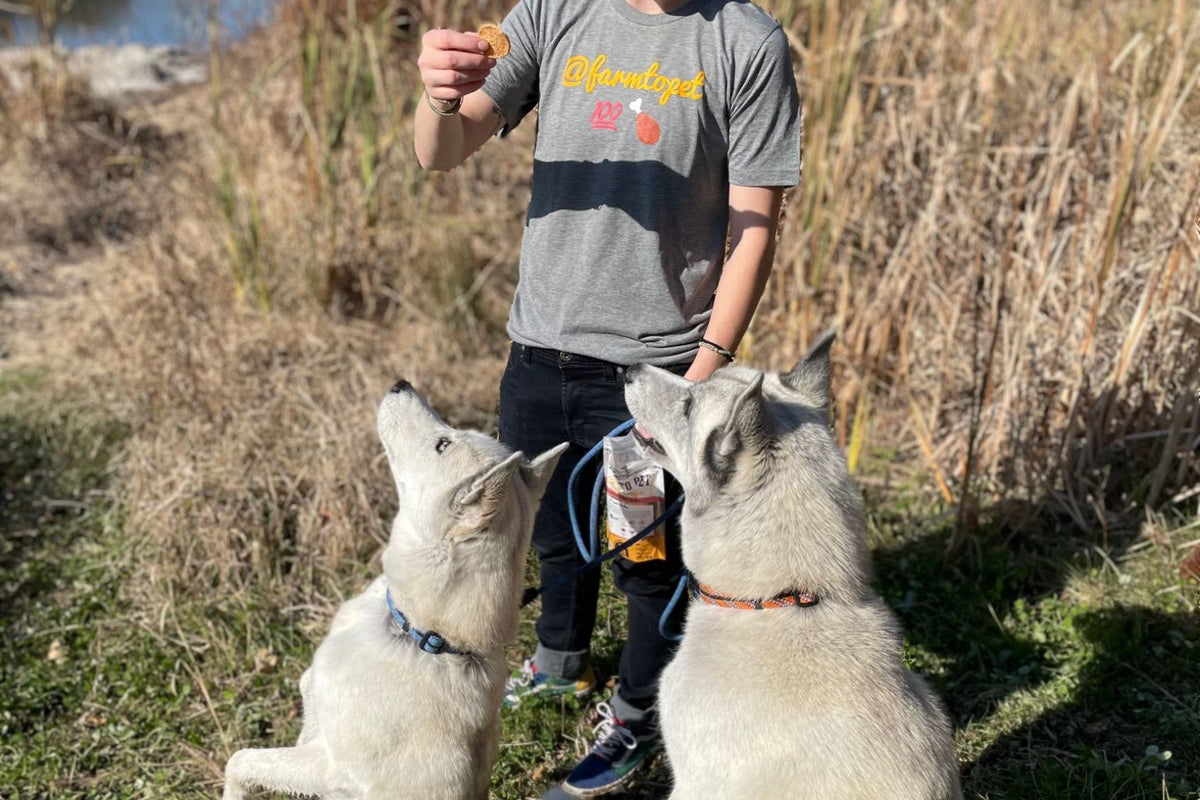What Makes a High Quality Ingredient in Healthy Pet Treats and Foods? - Farmto-pettreats