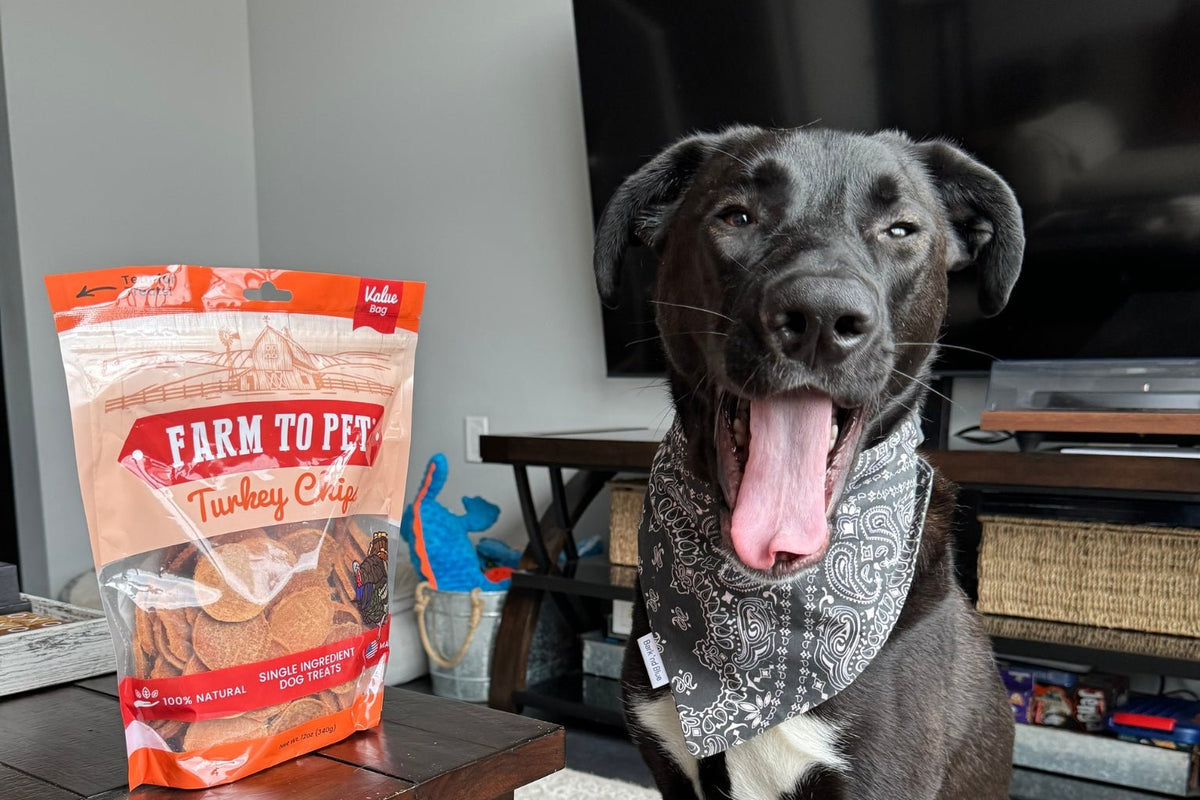 Which Protein Makes for a Healthy Dog Treat? - Farmto-pettreats
