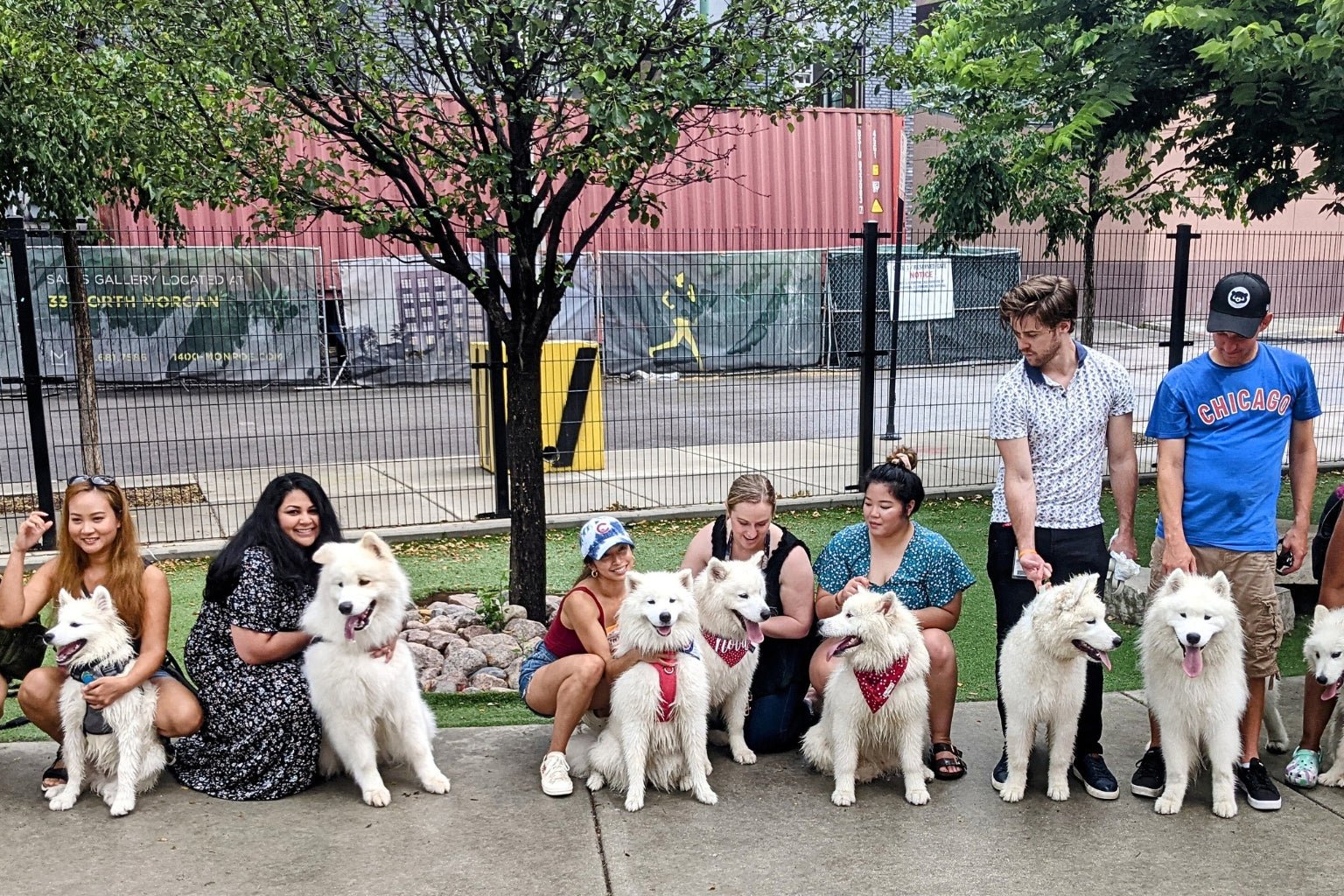 Why Dogs are the Most Popular Pet - Farmto-pettreats
