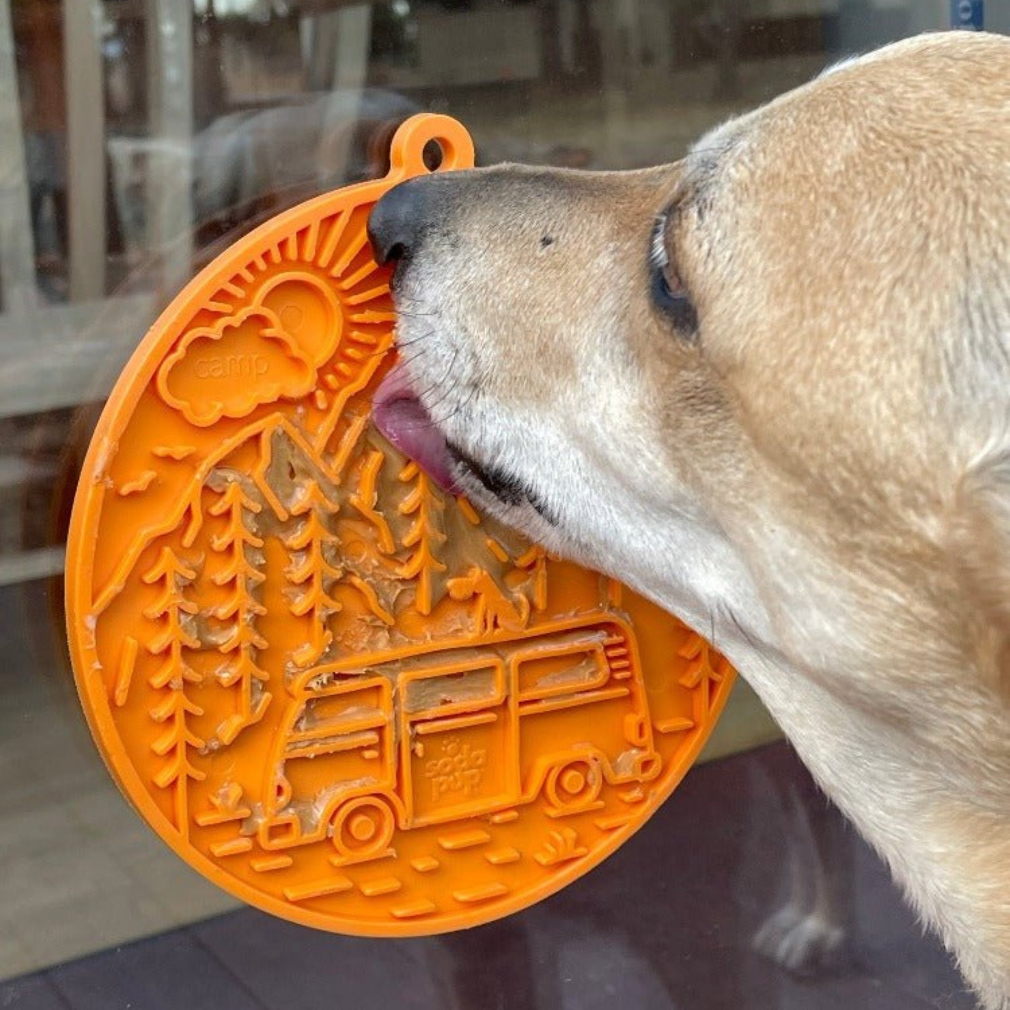 Dog Lick Mats