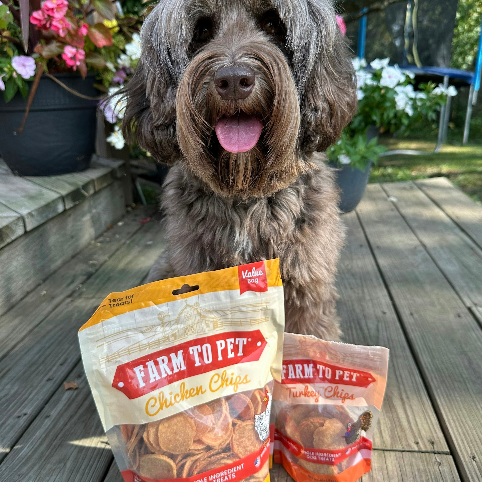 Healthy Dog Protein Chips - Farmto-pettreats