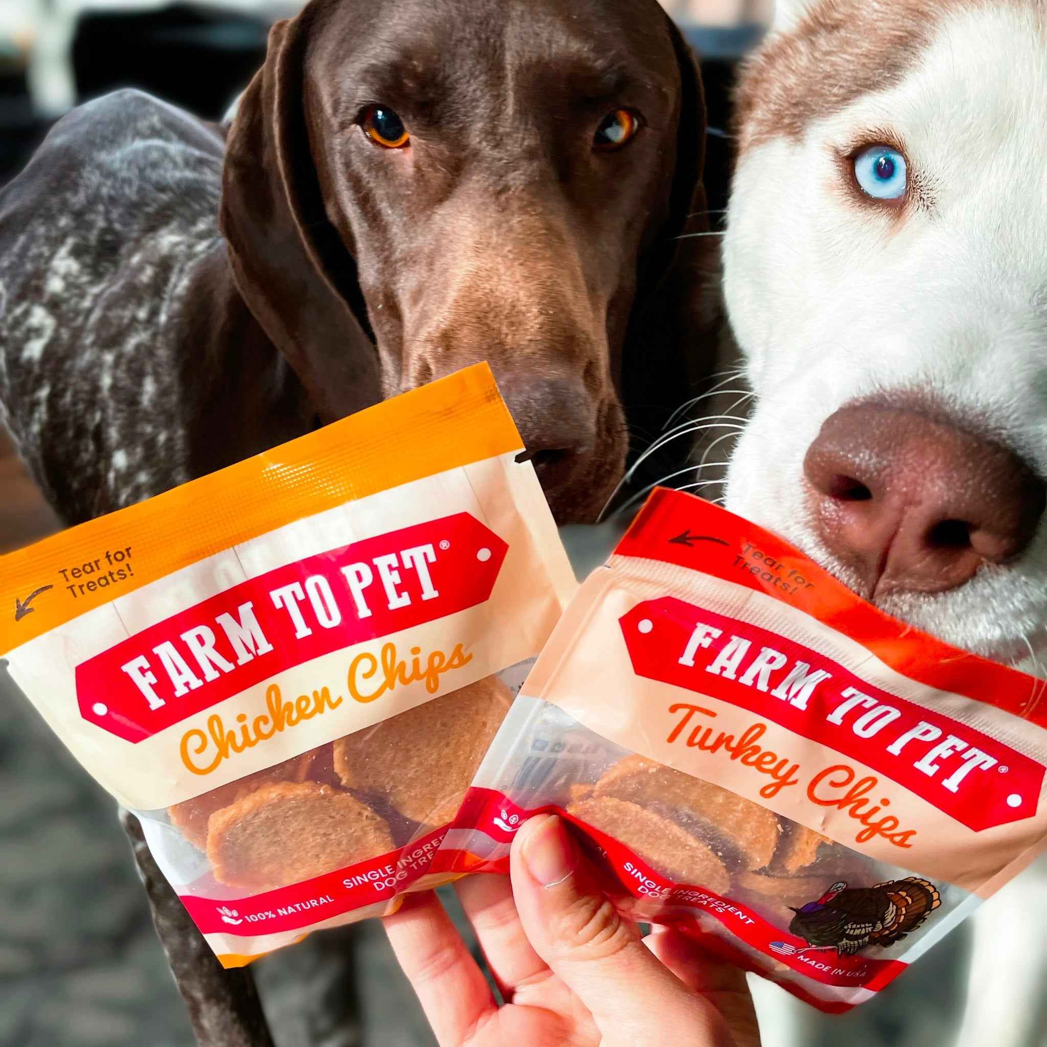 Healthy Dog Variety Packs - Farmto-pettreats
