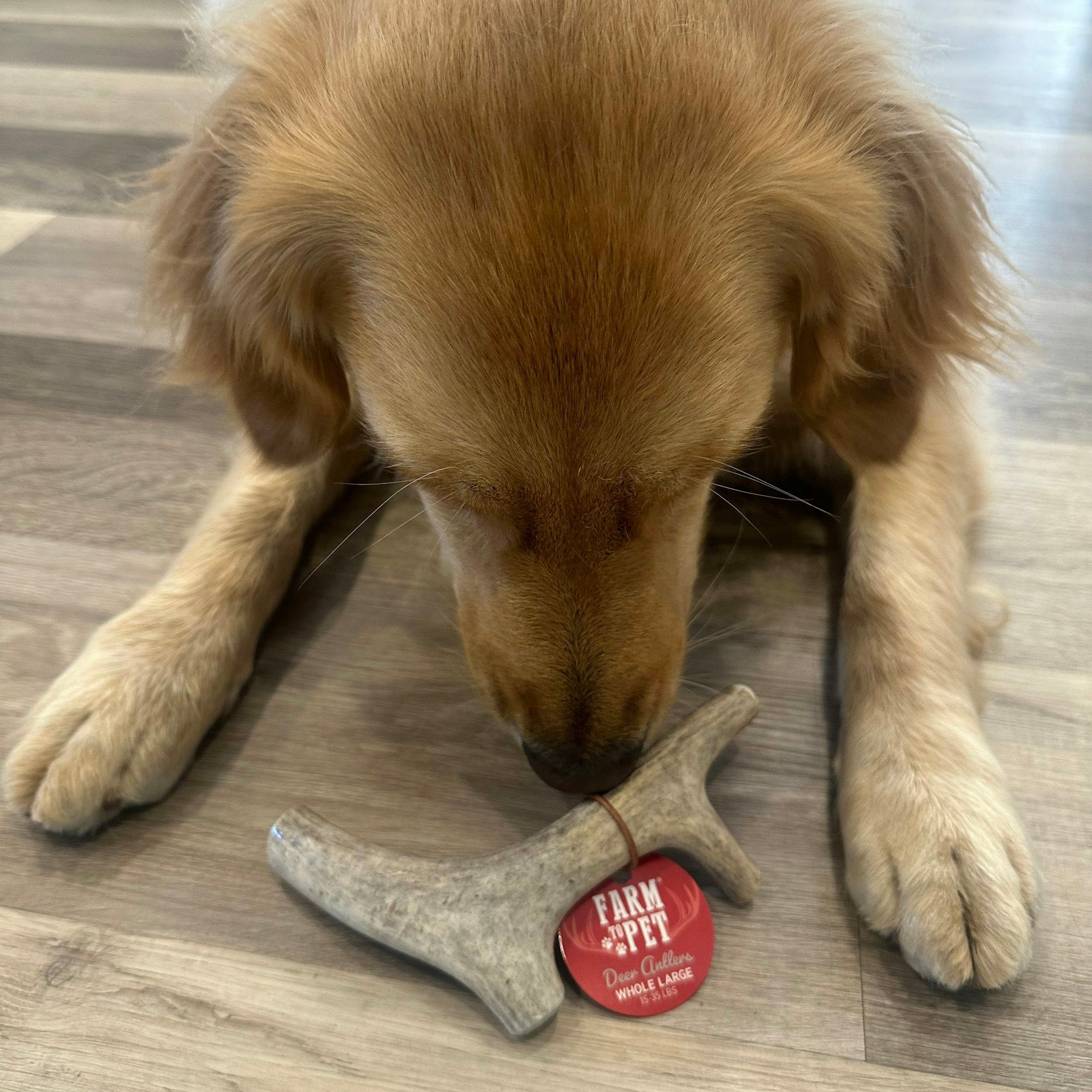 Organic Dog Chews - Farmto-pettreats