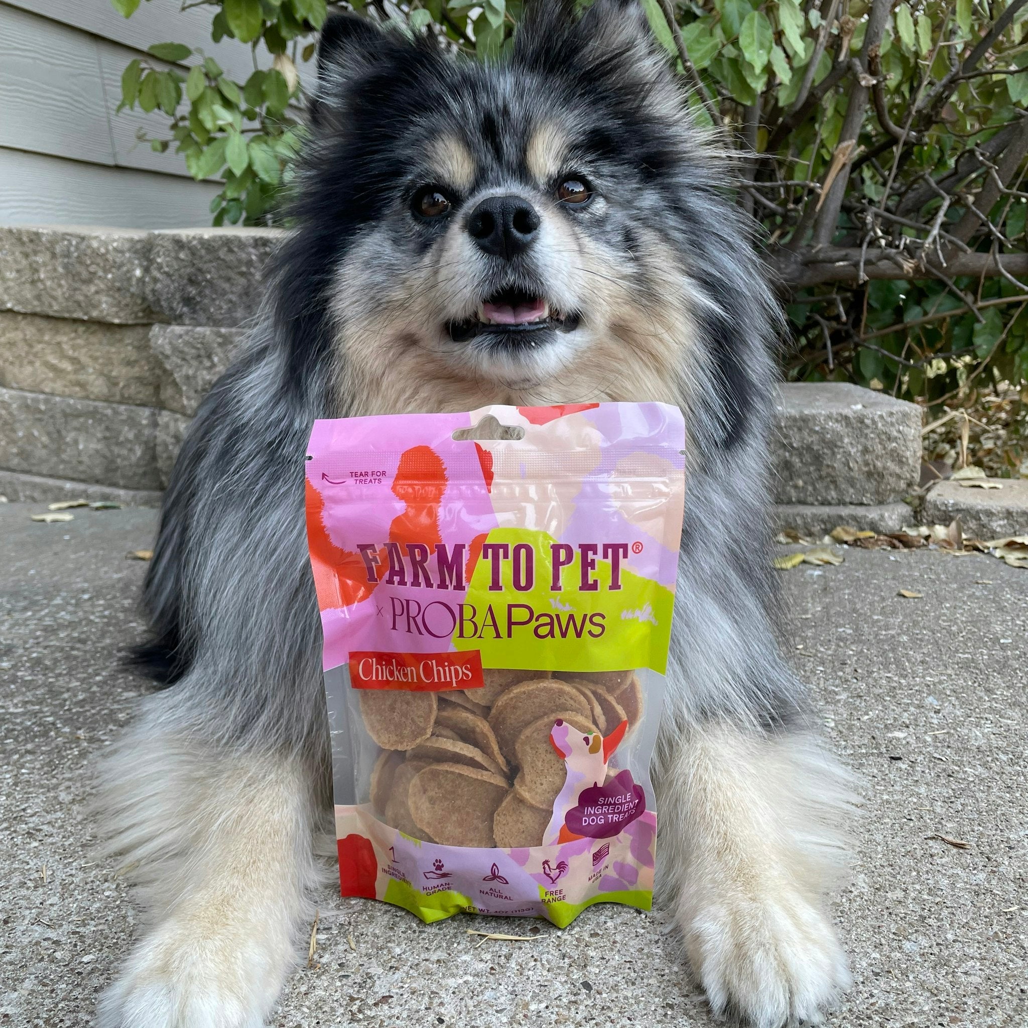 Special Edition Dog Treats - Farmto-pettreats