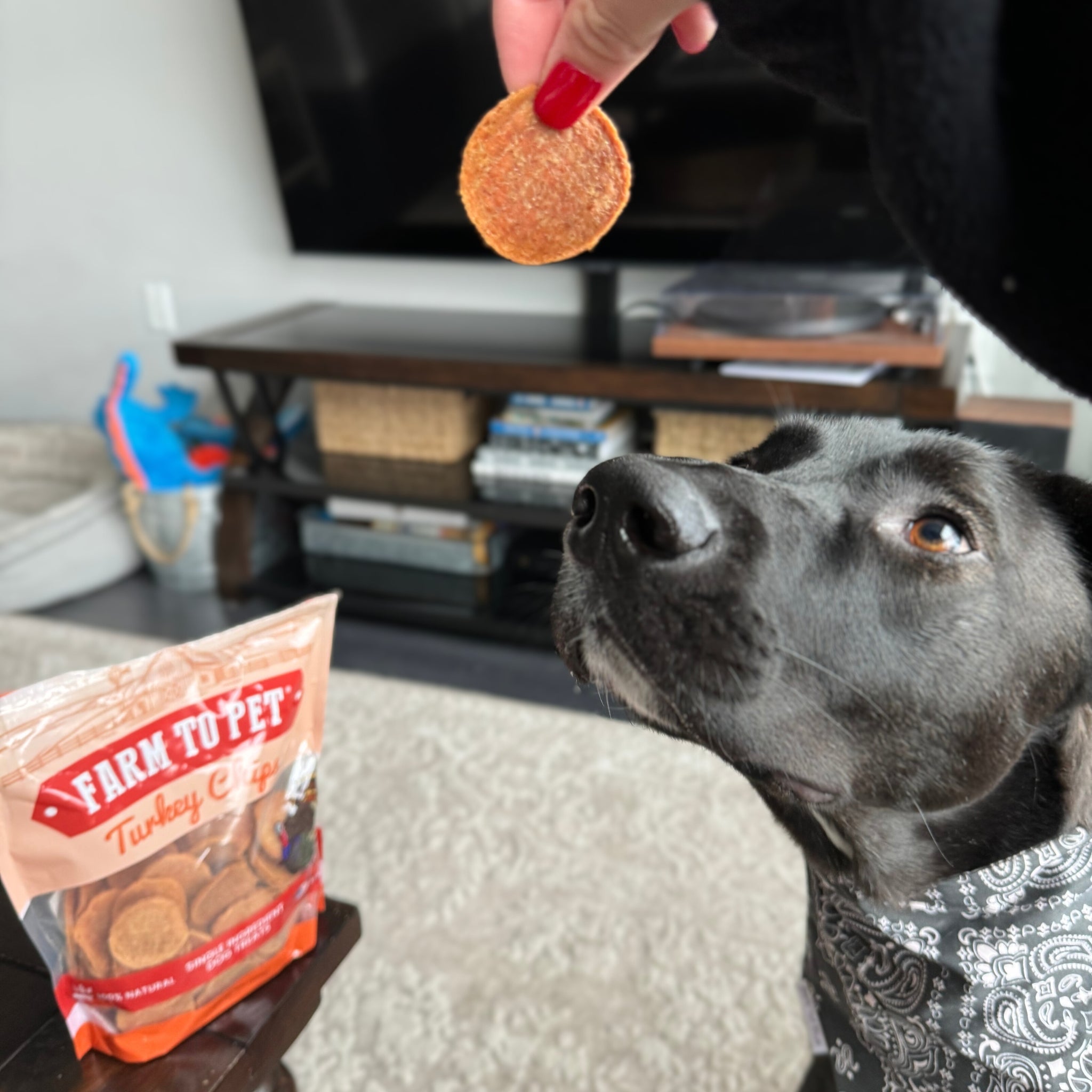 Turkey Chips Dog Treats - Farmto-pettreats