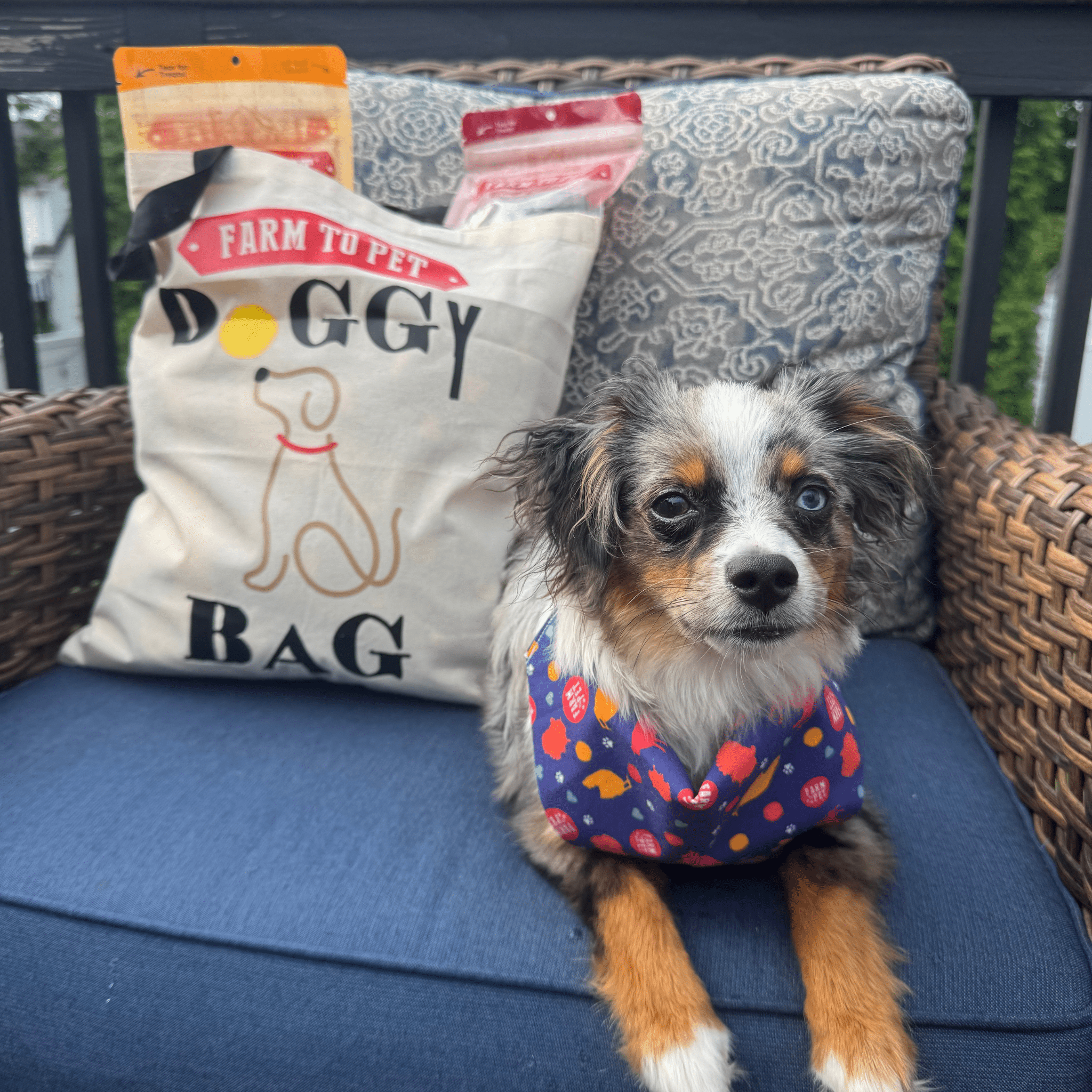 Farmto-pettreats Tote Bag | Paw-some Gift for Animal Lovers