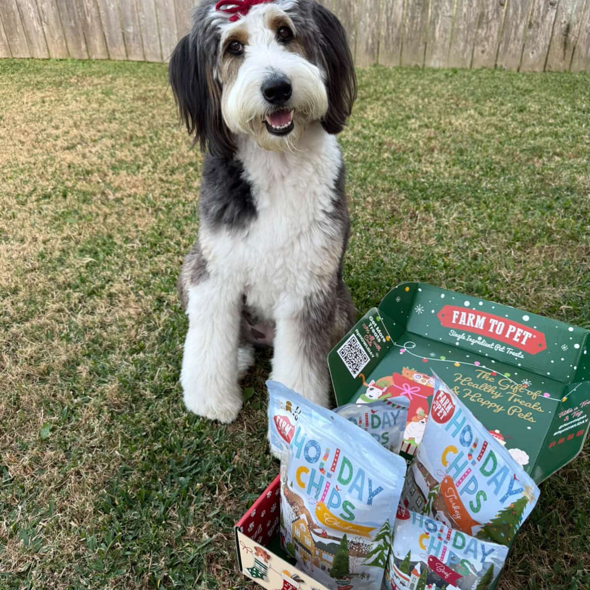 Santa Paws' Best Chipmas Dog Treat Box - Farmto-pettreats