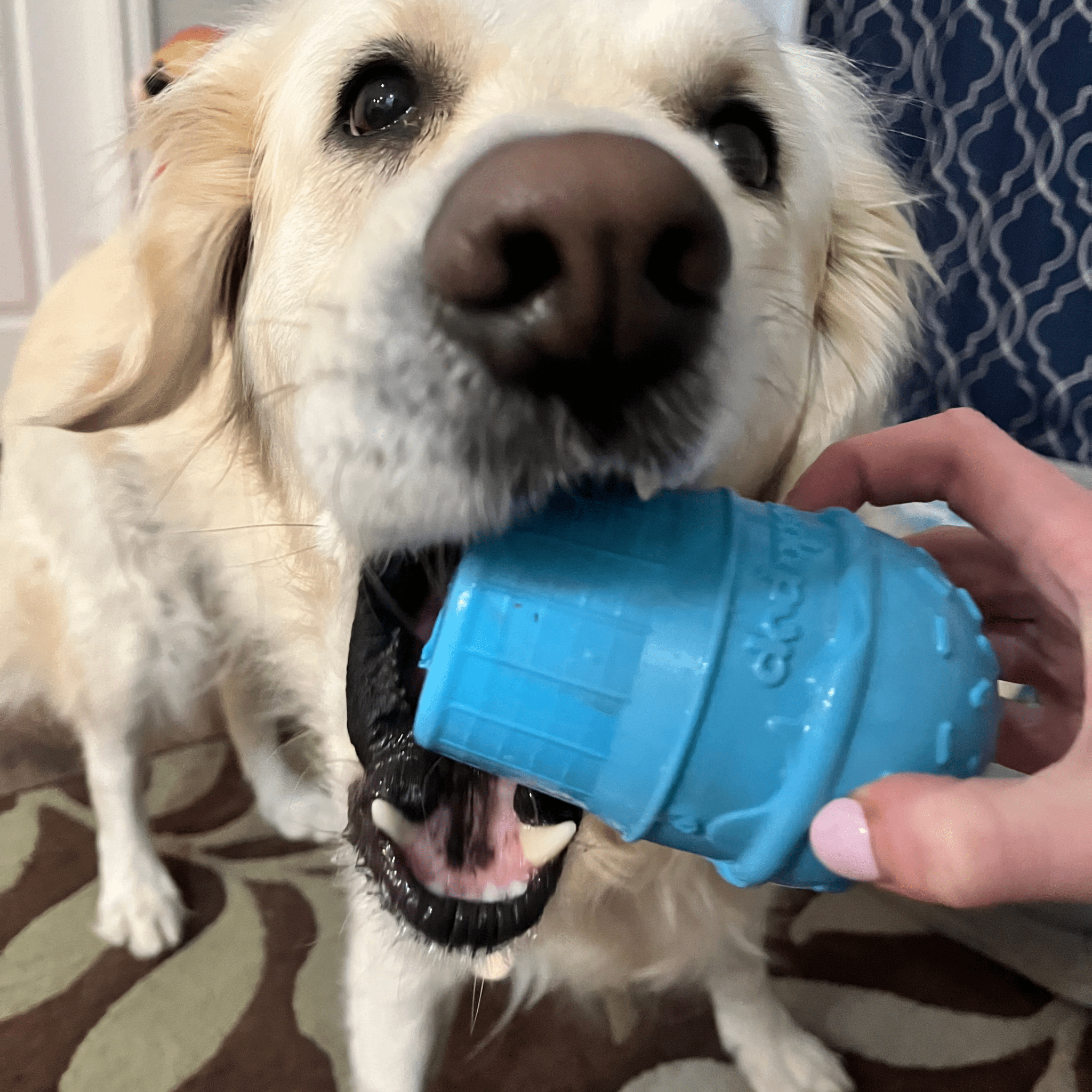 Ice Cream Dog Treat Dispenser